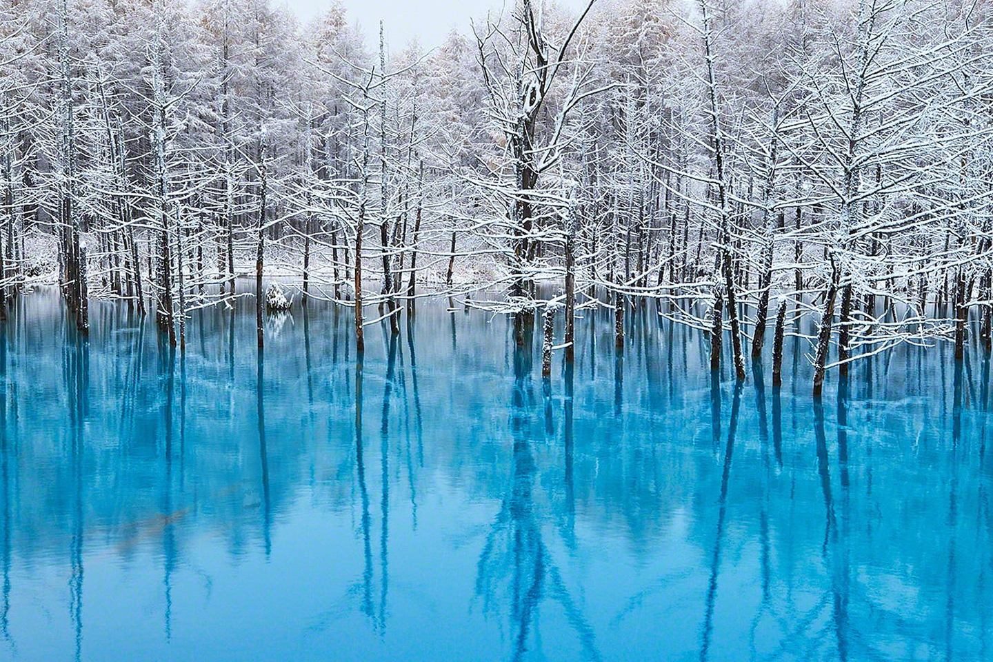 雪景色の青い池