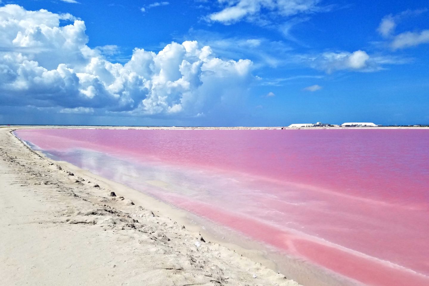 Las Coloradas Yucatán, el Lago Rosa todo lo que debes saber Tips